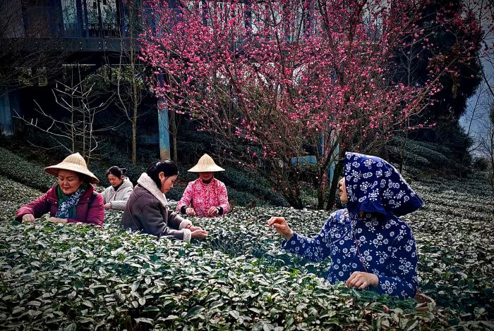 微信图片_20250401095100_副本