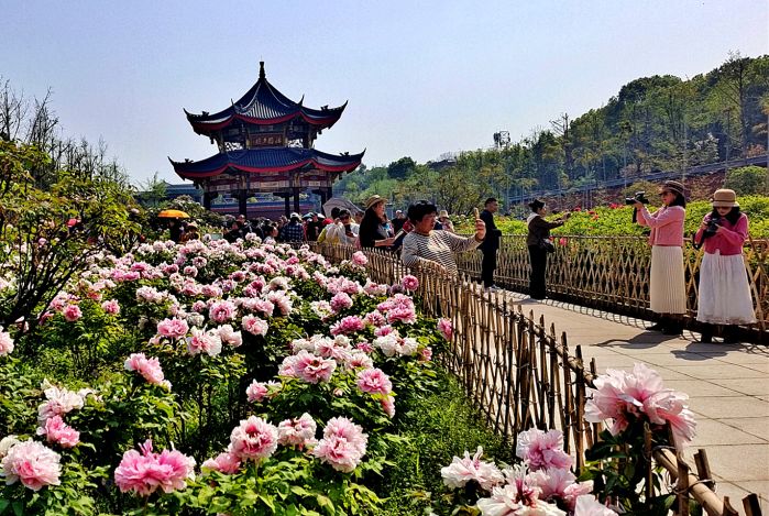 “怡园”花正艳