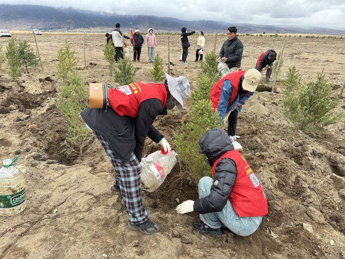 图为青年志愿者参与义务植树.jpg