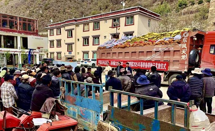 图为免费发放优质良种.jpg