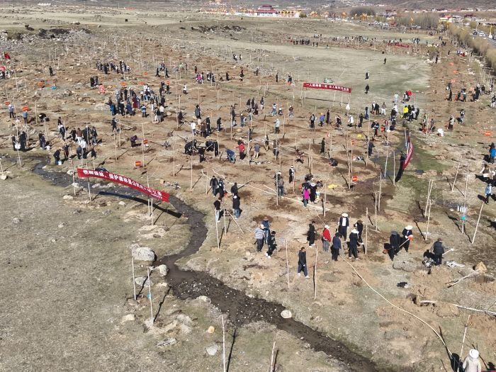 DJI_20250421095341_0030_V.JPG