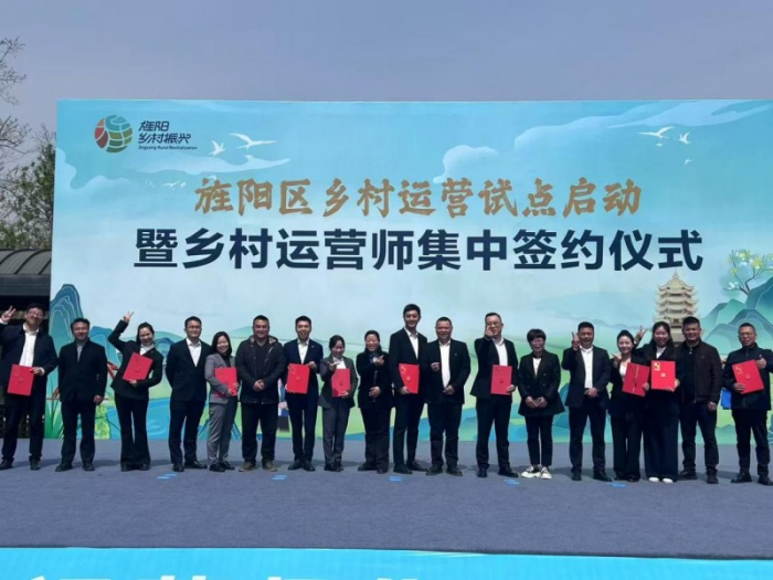 图片4