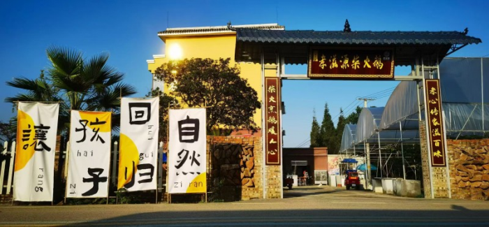 图片6