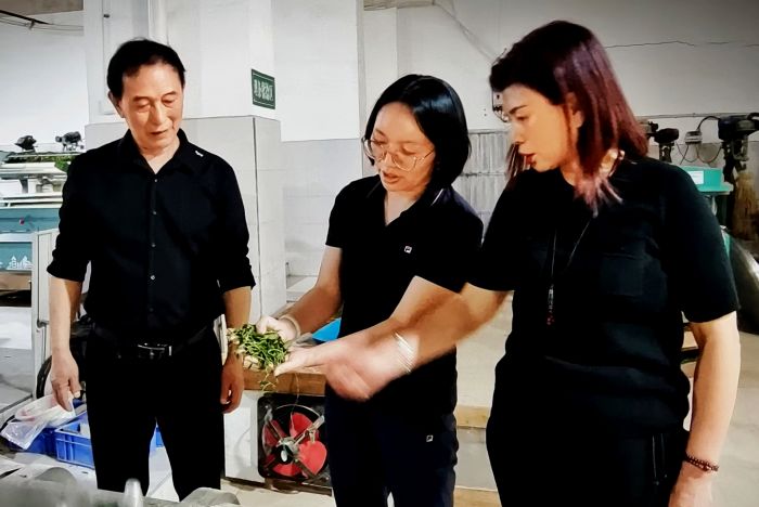 微信图片_20250512112955_副本
