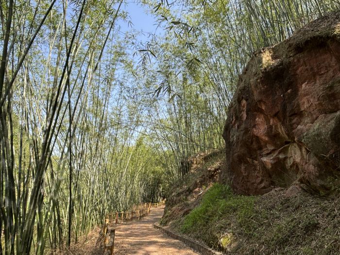 绵溪河畔竹林通幽