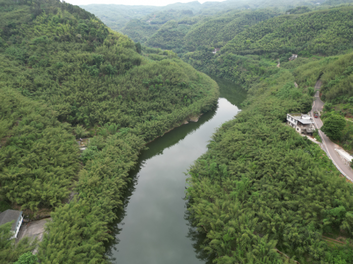 长宁河流淌在绿色的“竹海”里