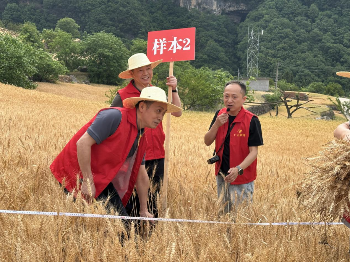 图片1.png