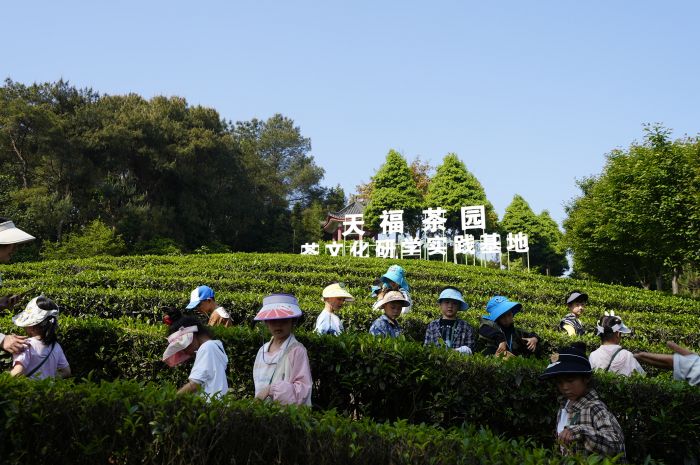 研学旅游现场4