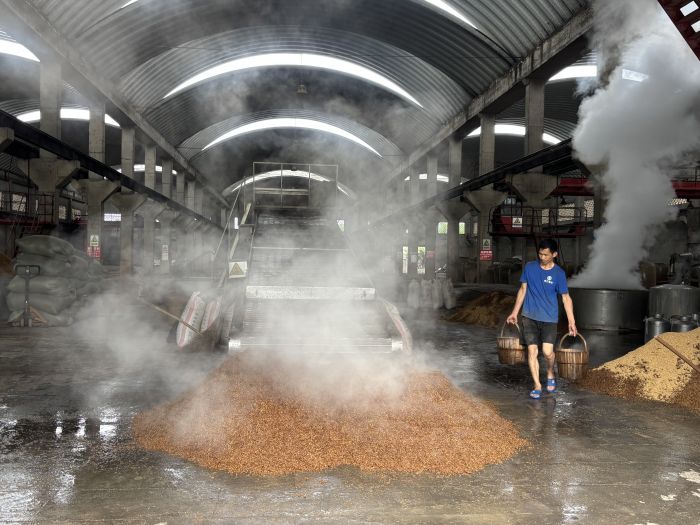 金竹酒业酿酒工人正在打量水