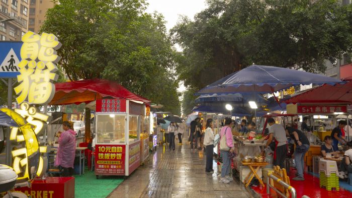 彩神vll雅安雨城区精细化管理为夜经济注入强劲动能(图1)
