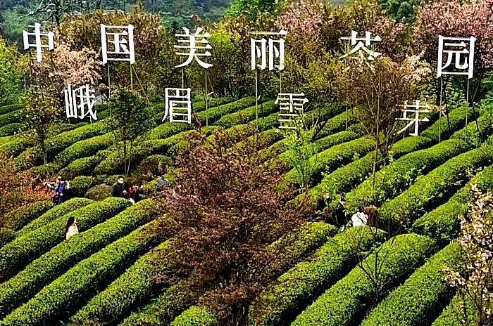 微信图片_20231230053906_副本.jpg