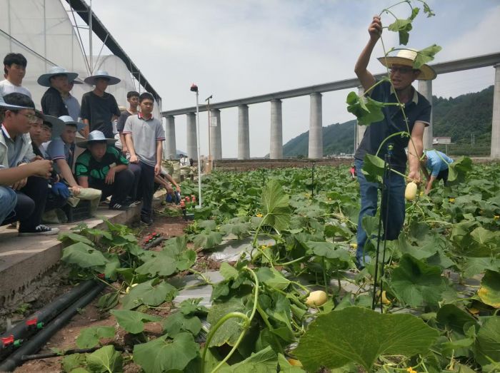 宜宾职校老师在田间地头给学生上课