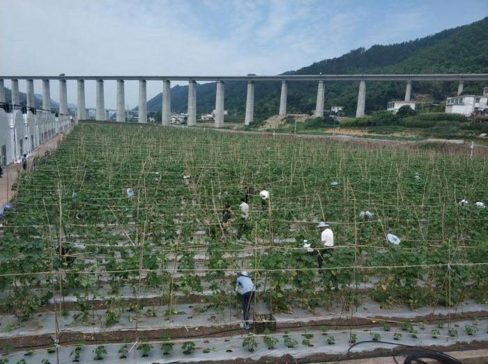 庆岭基地