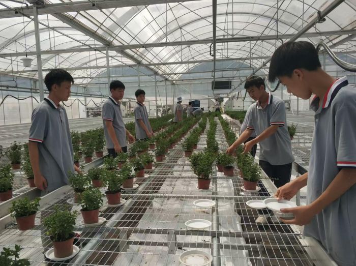 宜宾职教在育苗车间学习