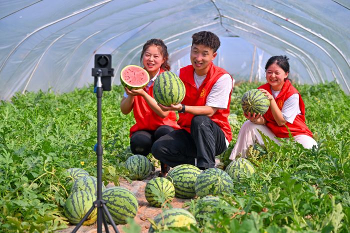 微信图片_20250611174403.jpg