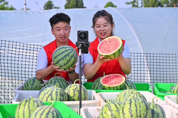 微信图片_20250611174348.jpg
