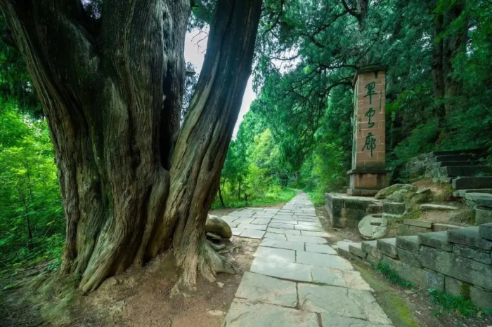 图片9.png