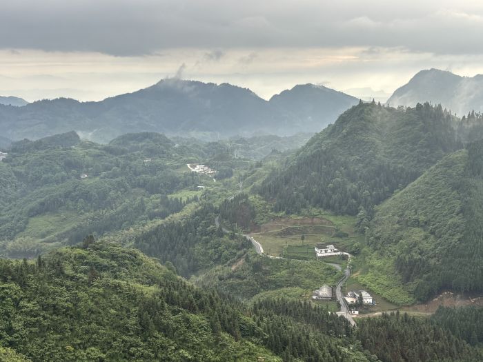 仙峰苗族乡被绿色包围