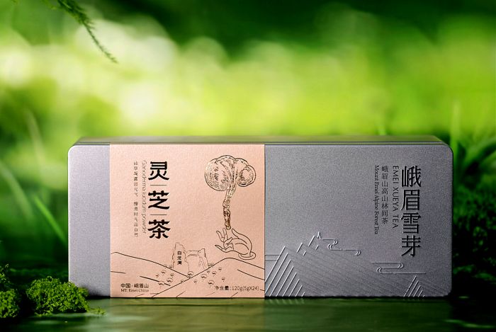 微信图片_20250625164209_副本