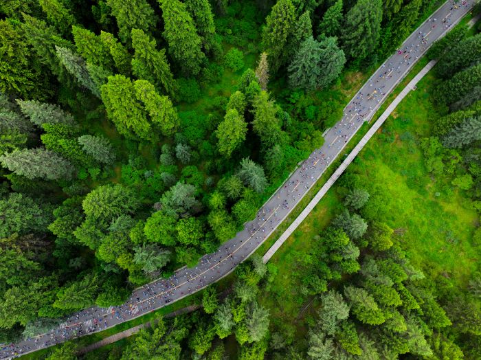 DJI_20250629083118_0511_D