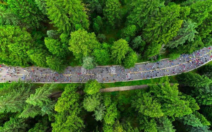 DJI_20250629083203_0514_D
