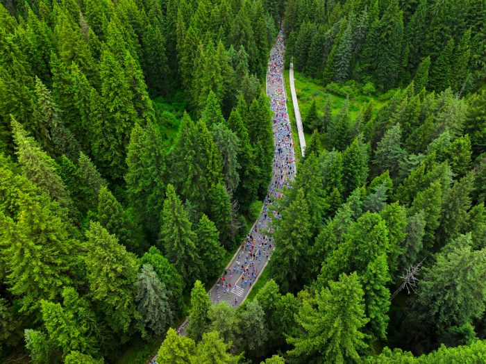 DJI_20250629083226_0515_D