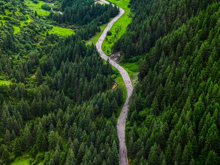 DJI_20250629085229_0519_D