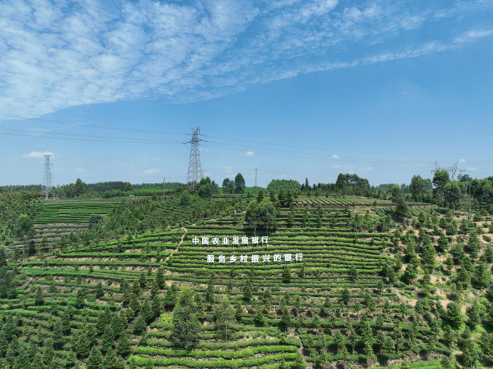 乐山示范园2.png