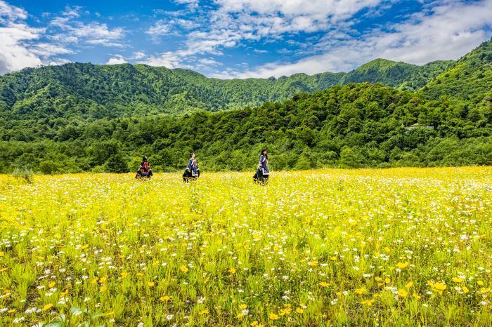 遇见云上花开成海 (2)