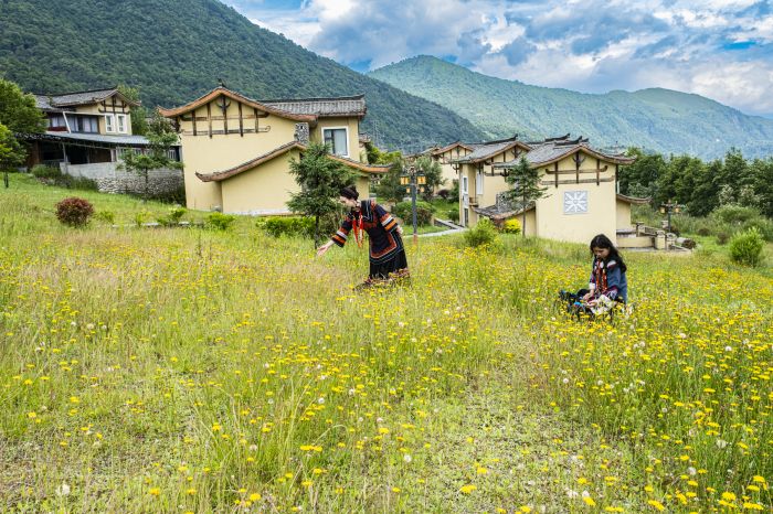 花开彝寨夏日凉 (2)