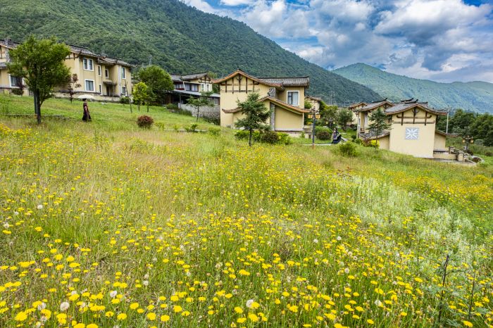 花开彝寨夏日凉 (3)