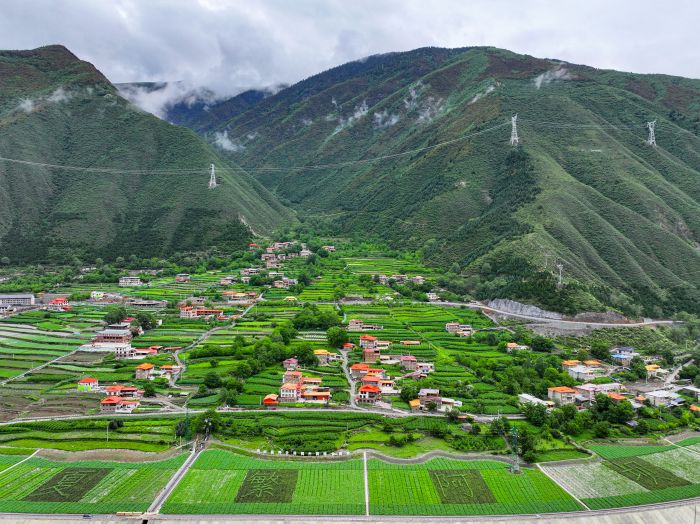 DJI_20250705110434_0727_D