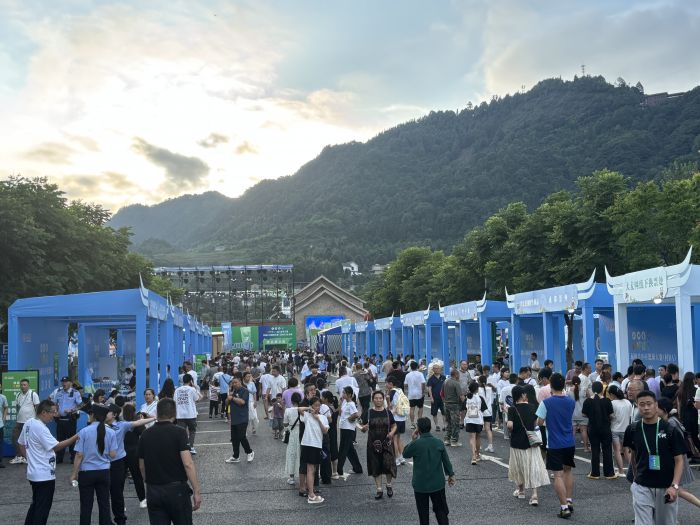 非遗物品和农特产品展示区