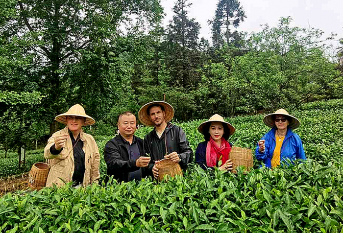 “寻找中国好茶行动计划”走进峨眉山