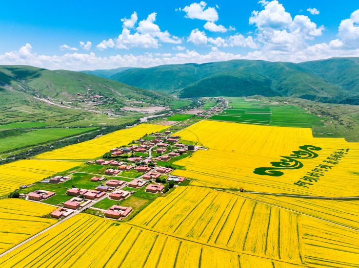 DJI_20250716133550_0128_D