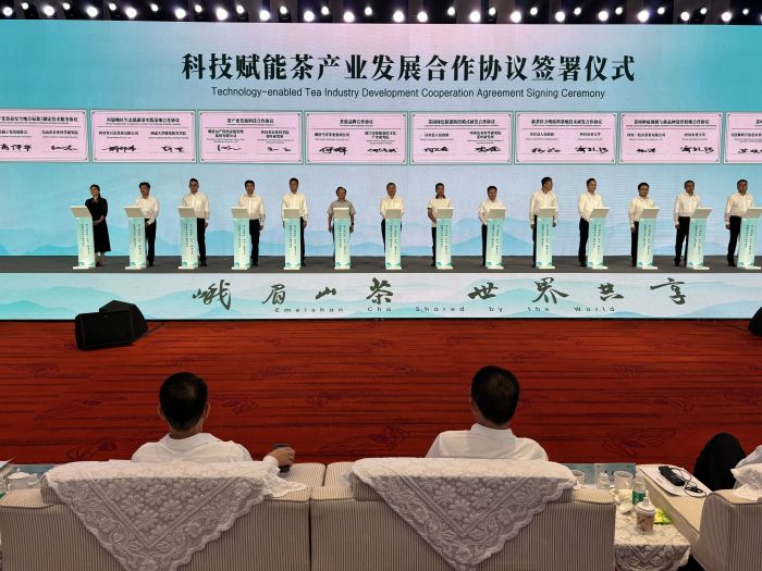 签约仪式现场