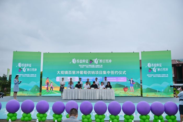 葡萄供销项目集中签约仪式