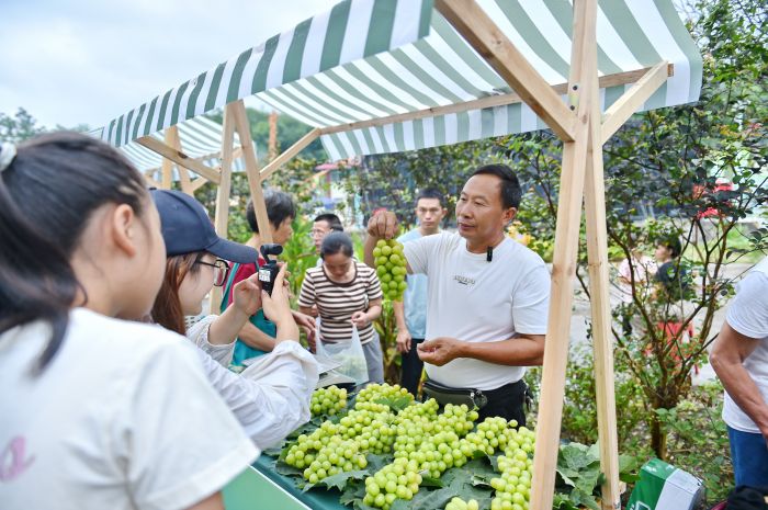 葡萄集市