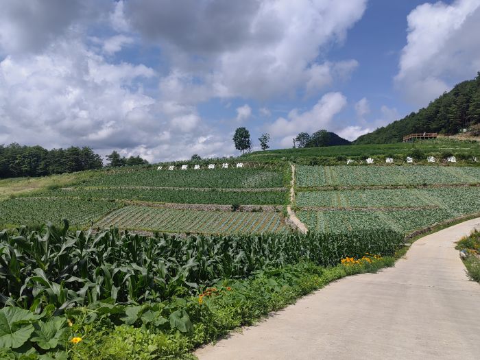 两河口镇两河村高山蔬菜科技成果示范推广基地.jpg