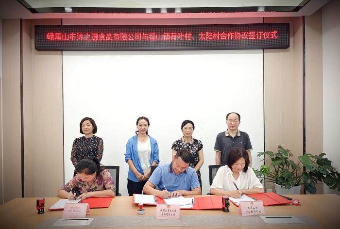 微信图片_20250724124607_副本