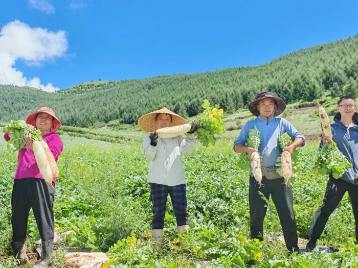 村民喜获丰收