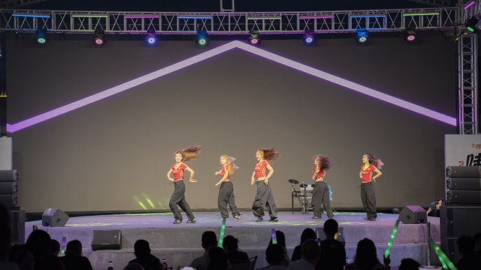 DSC04238