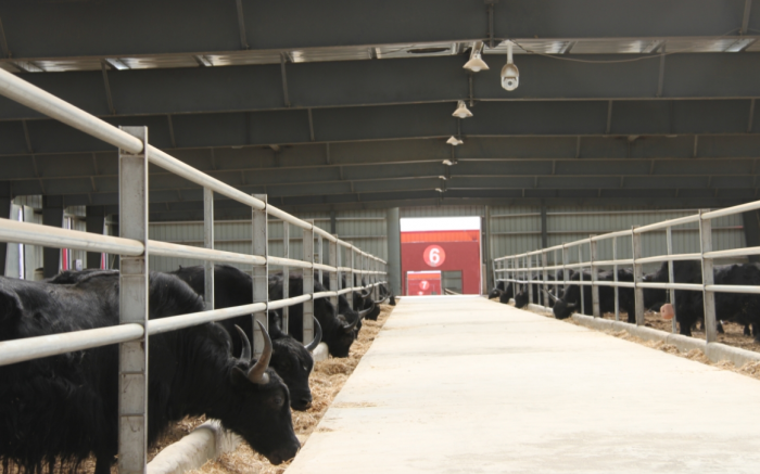 19ffa120fff3addbd4a352e0f6dc28b1.jpg