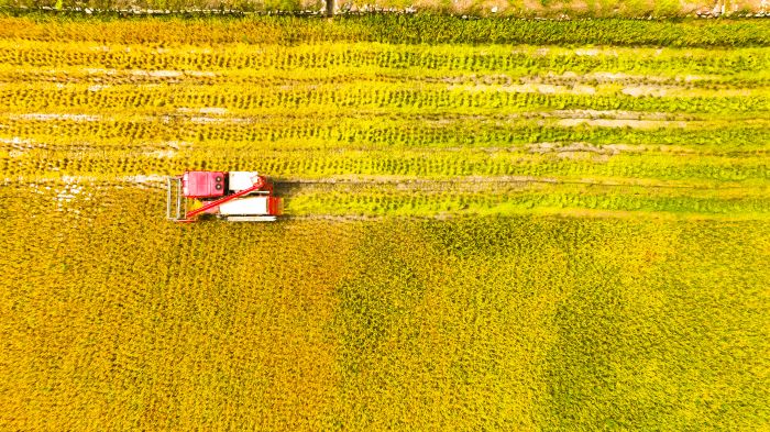 DJI_0913