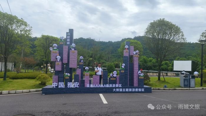 我和碧峰峡外交熊猫合影打卡活动