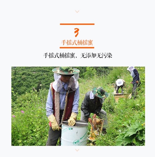 蜂蜜_04.jpg