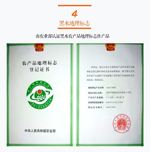 蜂蜜_05.jpg