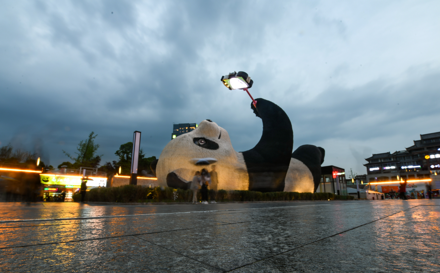 都江堰:熊猫之都迎新宠