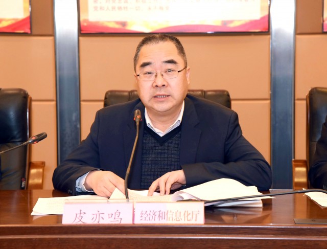 经济和信息化厅副厅长皮亦鸣讲话.JPG