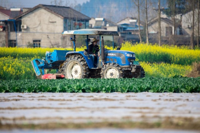 村民正用小型旋耕機耕田